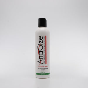 
                  
                    Load image into Gallery viewer, AnaGize Balancing Treatment Shampoo 8oz (Step 2)
                  
                